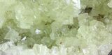 Gemmy, Yellow-Green Adamite Crystals - Durango, Mexico #65316-2